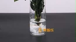 鲜花怎么保水？教你一个便捷招