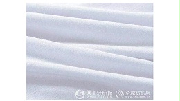 “再生纤维素纤维高效低耗规模化制备技术”项目通过中期验收